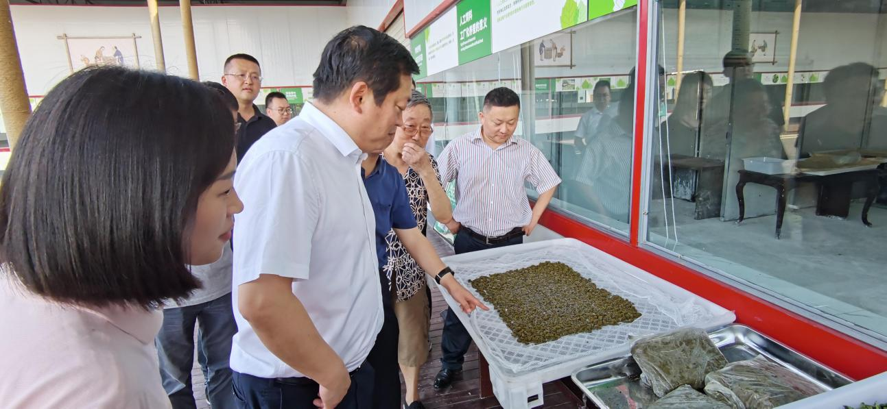 省尊龙凯时集团党委副书记、董事陈日赴嘉陵区调研茶桑产业发展情况